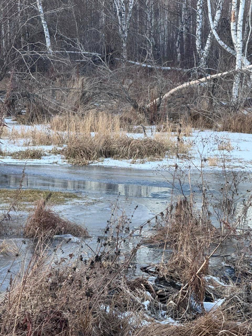 В Республике Хакасия возбуждено уголовное дело по факту гибели ребёнка