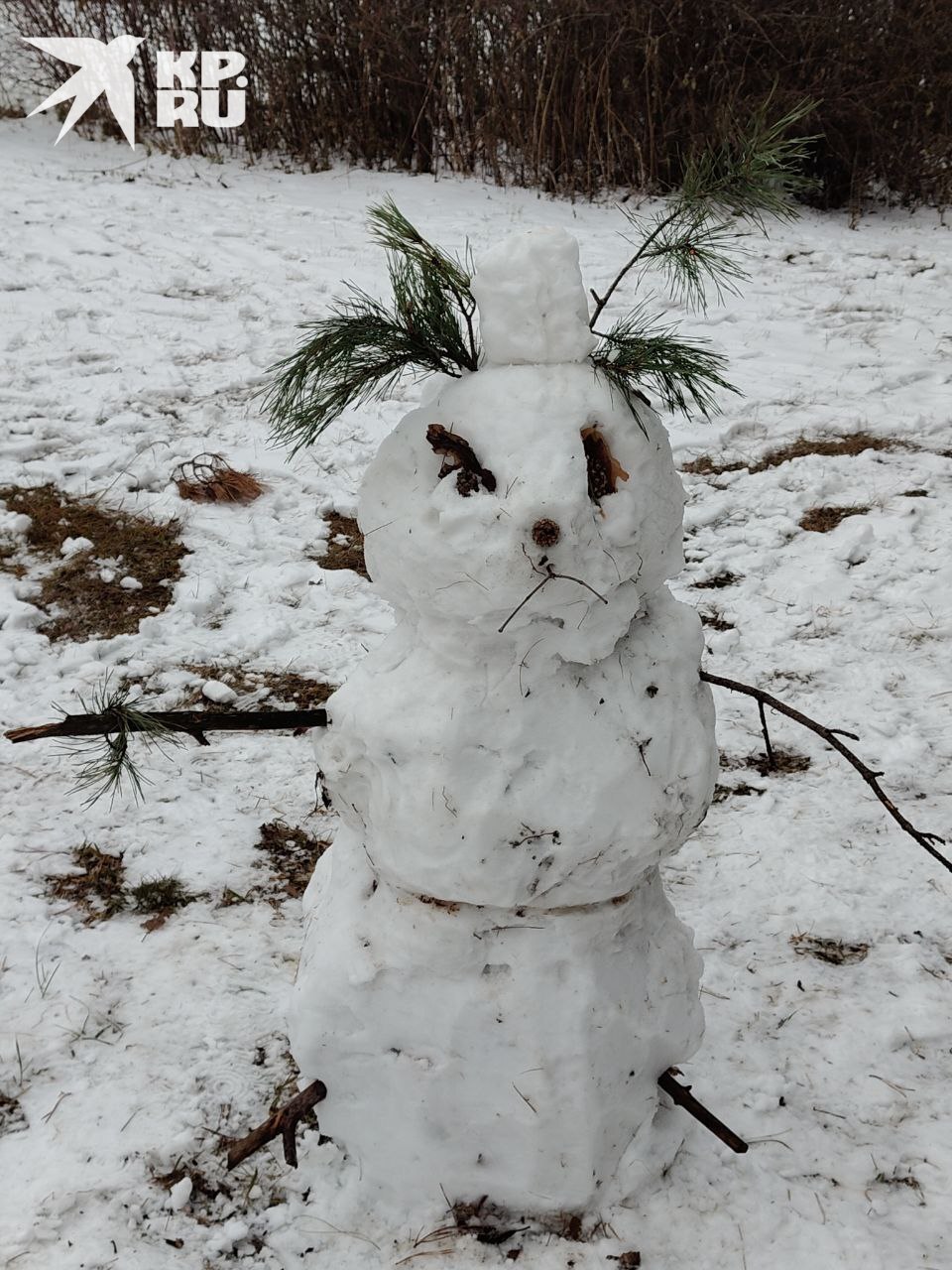 Смотрите, какие снеговики буквально вчера встречали посетителей эко-парка "Гремячая грива"! Любуйтесь, пока они совсем не растаяли, ведь синоптики вновь обещают уверенную плюсовую температуру!