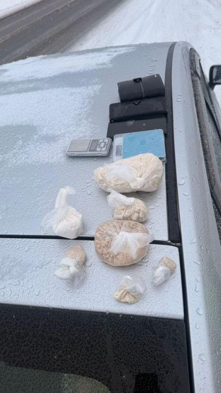 Житель Ачинска уличён полицией в перевозке свыше 750 граммов героина с целью сбыта