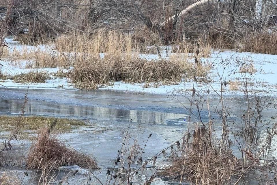 Остался без присмотра и пошел к реке: в Хакасии утонул четырехлетний мальчик, провалившись под тонкий лед