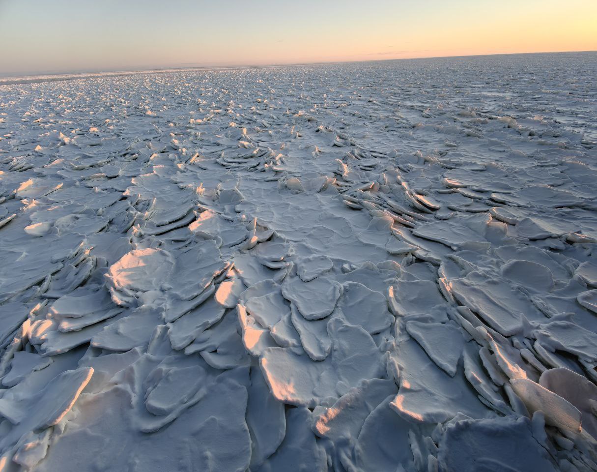 Только взгляните на это чудо природы!