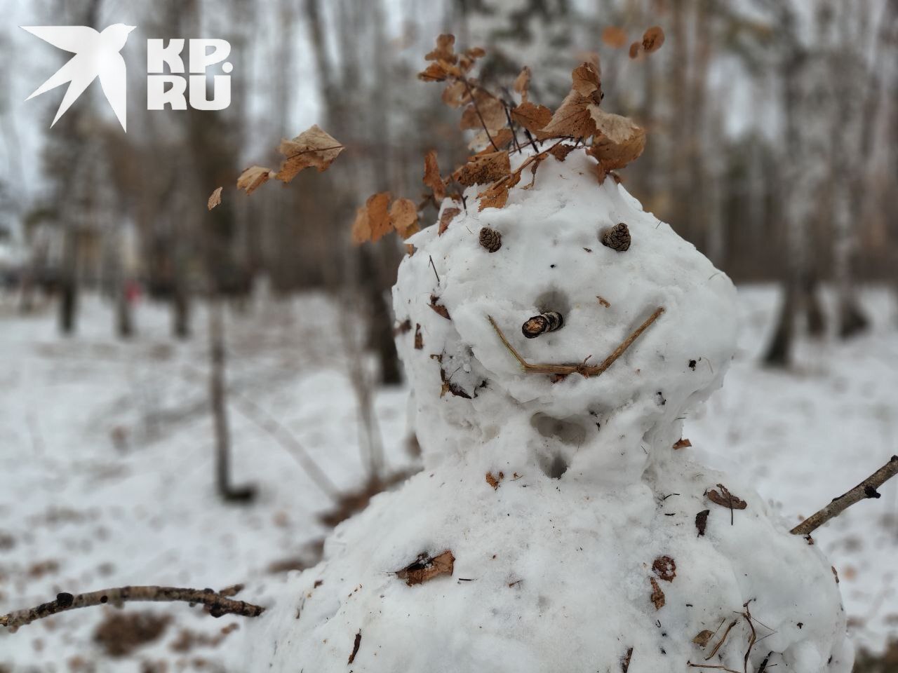 Смотрите, какие снеговики буквально вчера встречали посетителей эко-парка "Гремячая грива"! Любуйтесь, пока они совсем не растаяли, ведь синоптики вновь обещают уверенную плюсовую температуру! Смотрите, какие снеговики буквально вчера встречали посетителей эко-парка "Гремячая грива"! Любуйтесь, пока они совсем не растаяли, ведь синоптики вновь обещают уверенную плюсовую температуру!