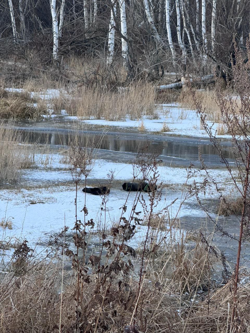 В Хакасии 4-летний ребенок провалился под лед реки и утонул