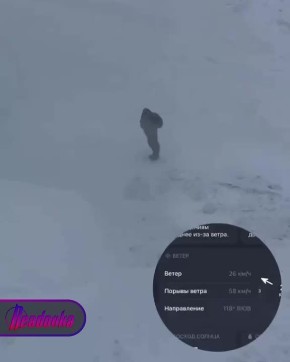 Школьники «летают» по Норильску из-за ветра в 58 км/ч