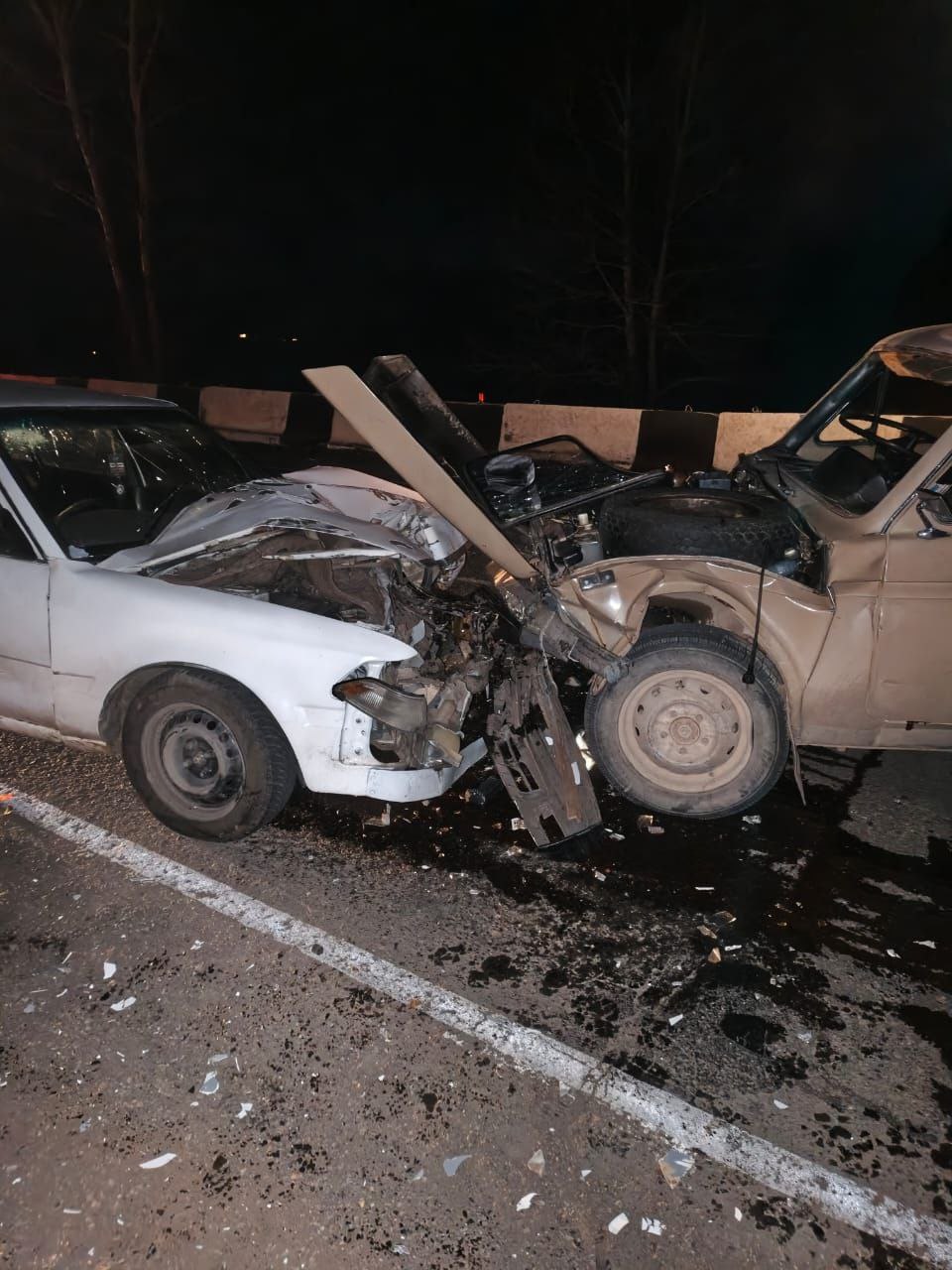 В Хакасии по вине пьяного 76-летнего водителя пострадала пассажирка встречного автомобиля В Хакасии по вине пьяного 76-летнего водителя пострадала пассажирка встречного автомобиля