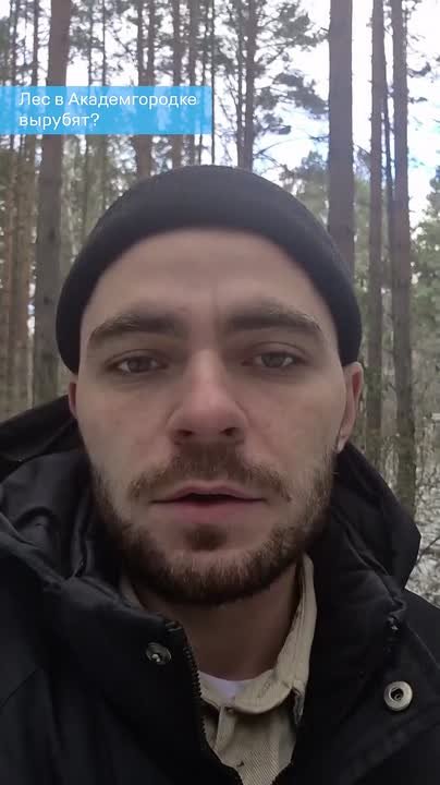 Лес в Академгородке могут вырубить ради строительства «Долины Менделеева»?