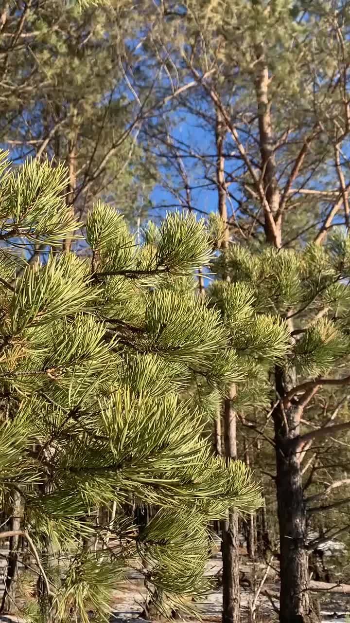 Погода на 19 ноября. ТВК