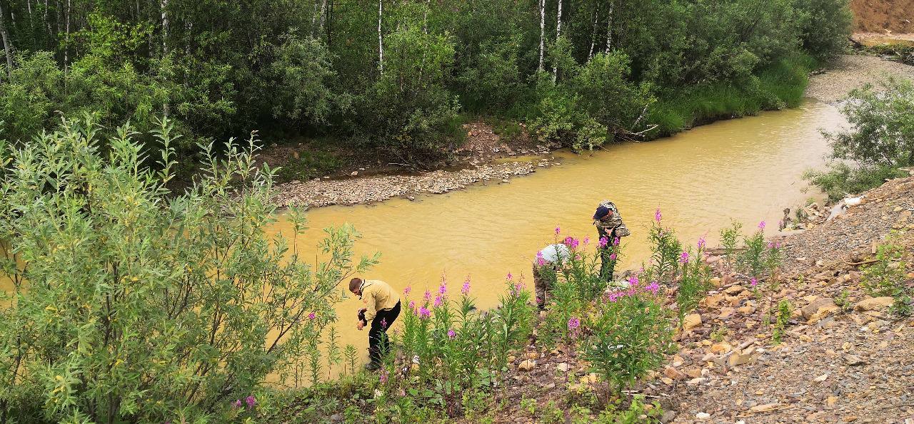 Река вместо отстойника: ООО «Артель Старателей Ангара – Север» заплатило 2,9млн руб Река вместо отстойника: ООО «Артель Старателей Ангара – Север» заплатило 2,9млн руб
