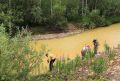 В Красноярском крае наказали золотодобывающую артель за загрязнение реки