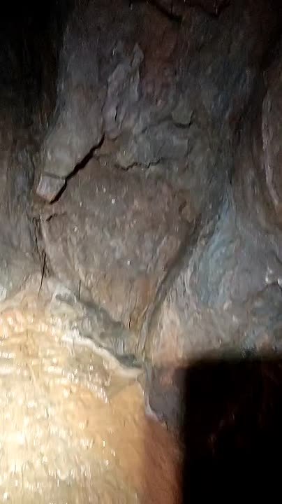 Спасатели продолжают искать семью Усольцевых в тайге