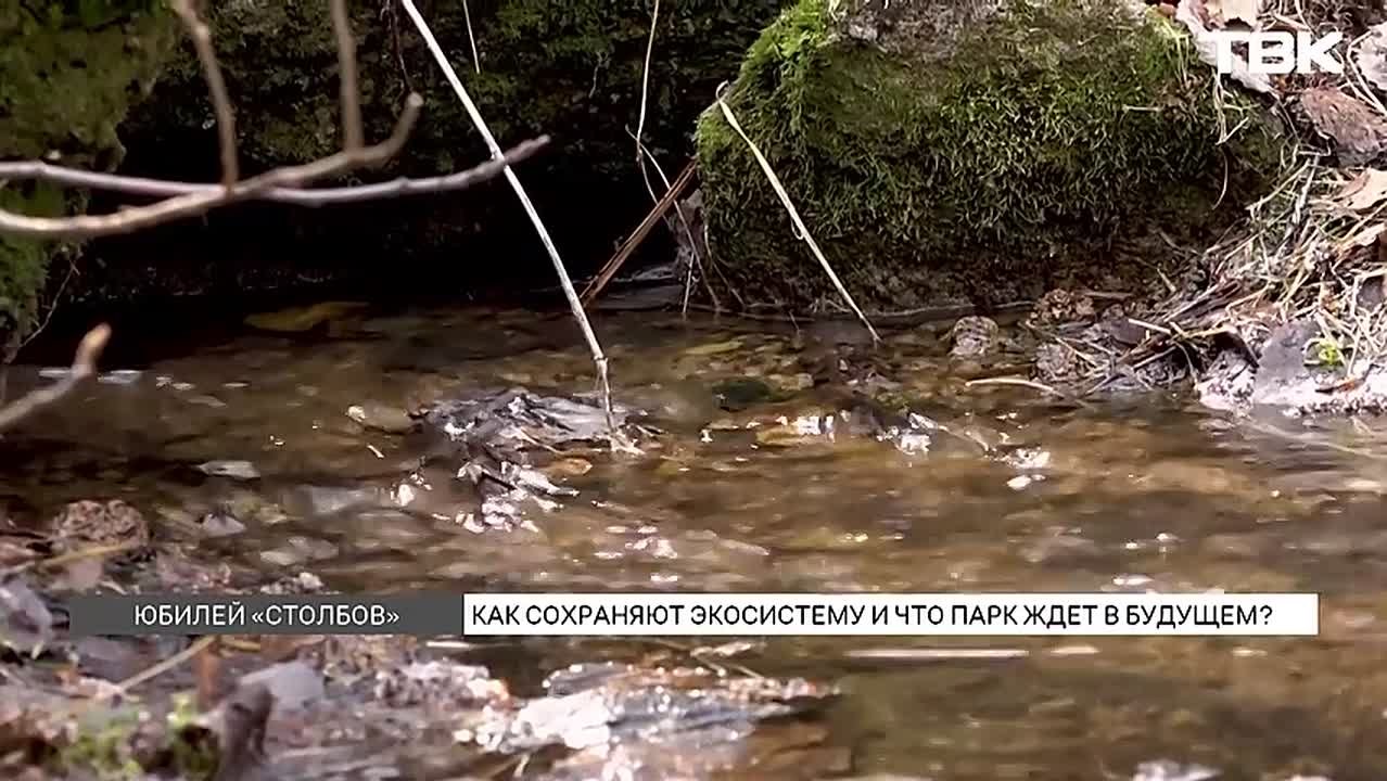Научно-практическая конференция, посвященная 100-летию «Столбов», проходит в Красноярске