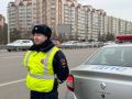 Рекомендуем быть внимательнее в связи с потеплением