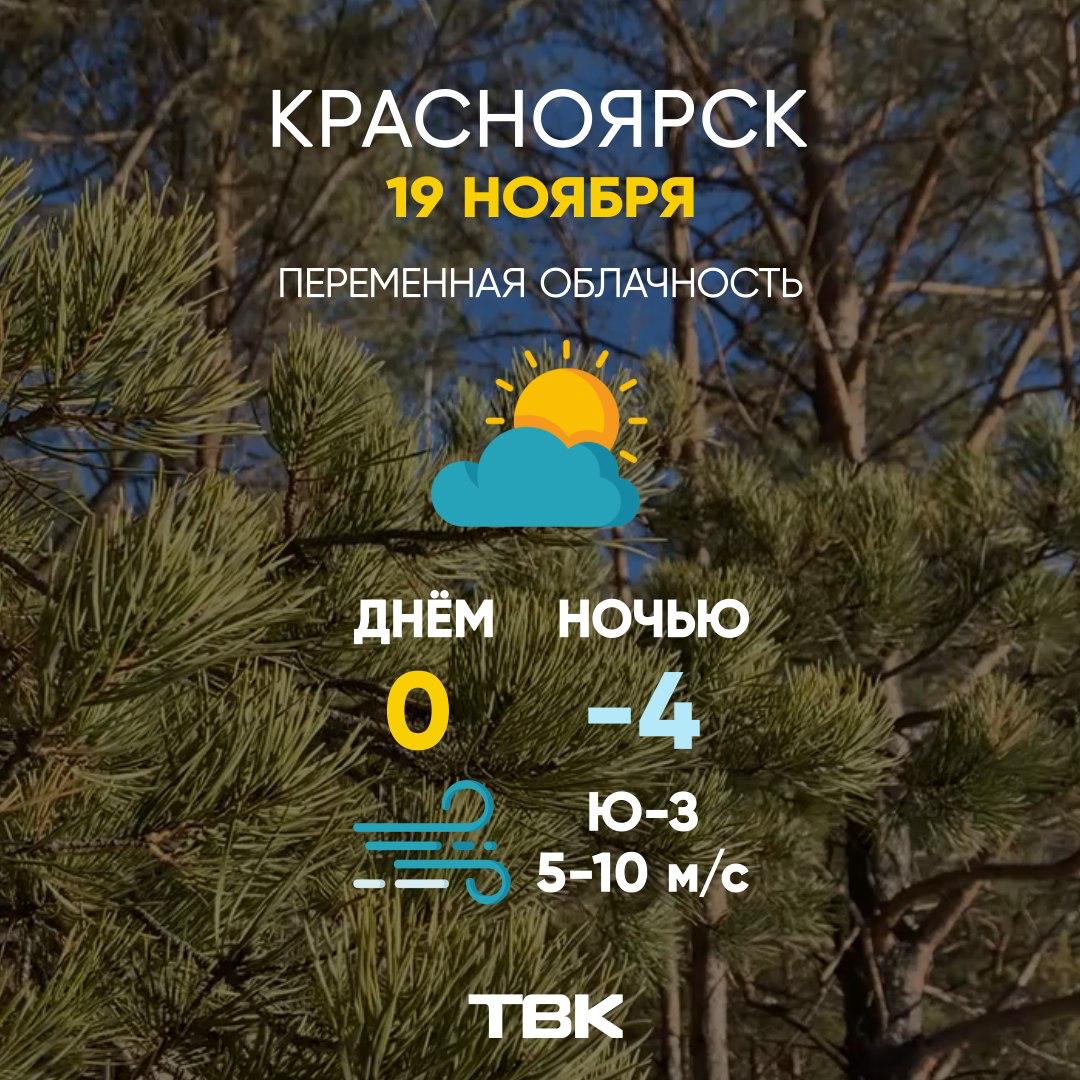 Погода на 19 ноября. ТВК