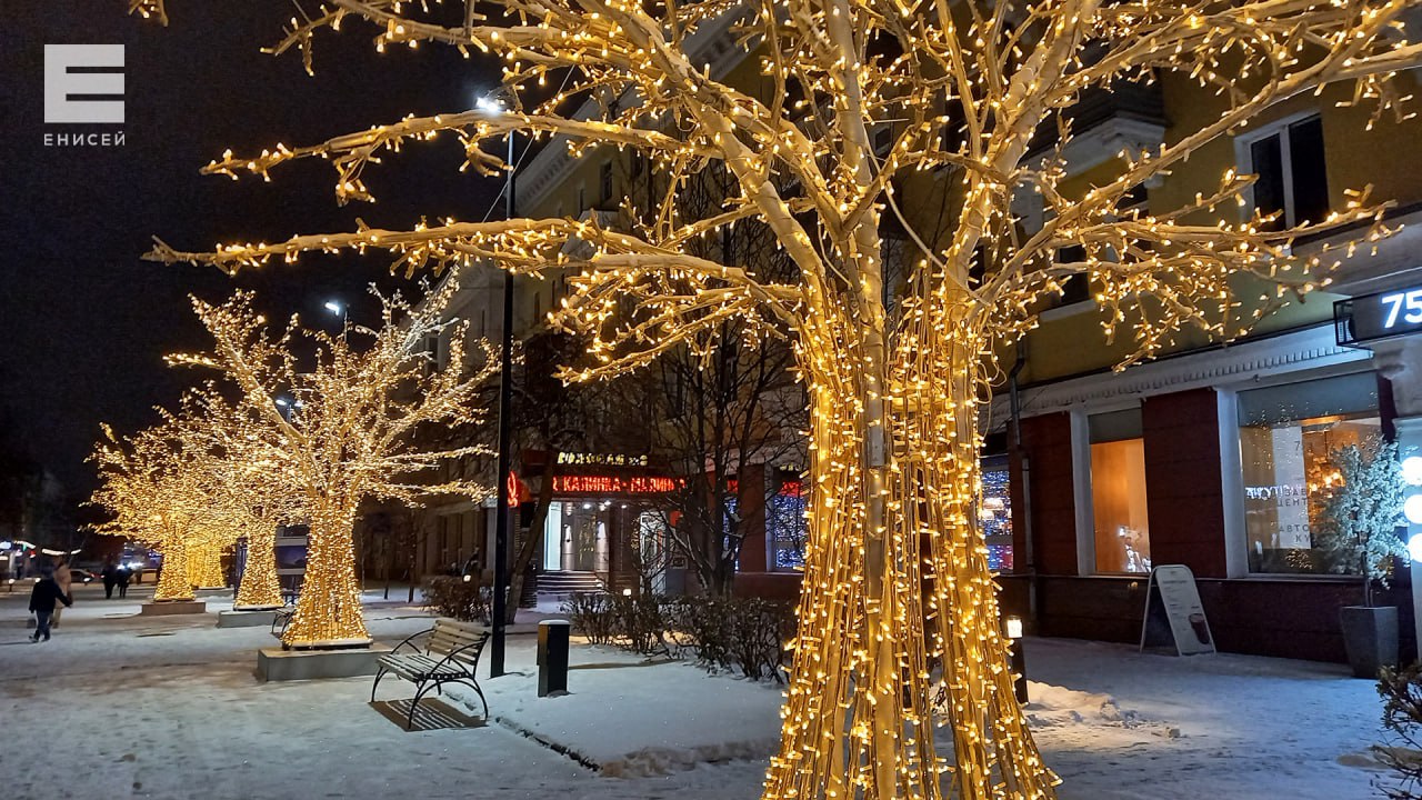 В Красноярске устанавливают светящиеся деревья