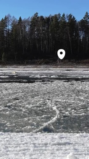 Плывущую среди льдин ондатру сняли на Мане