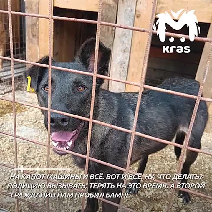 "Законопроект, конечно, молодцы, придумали