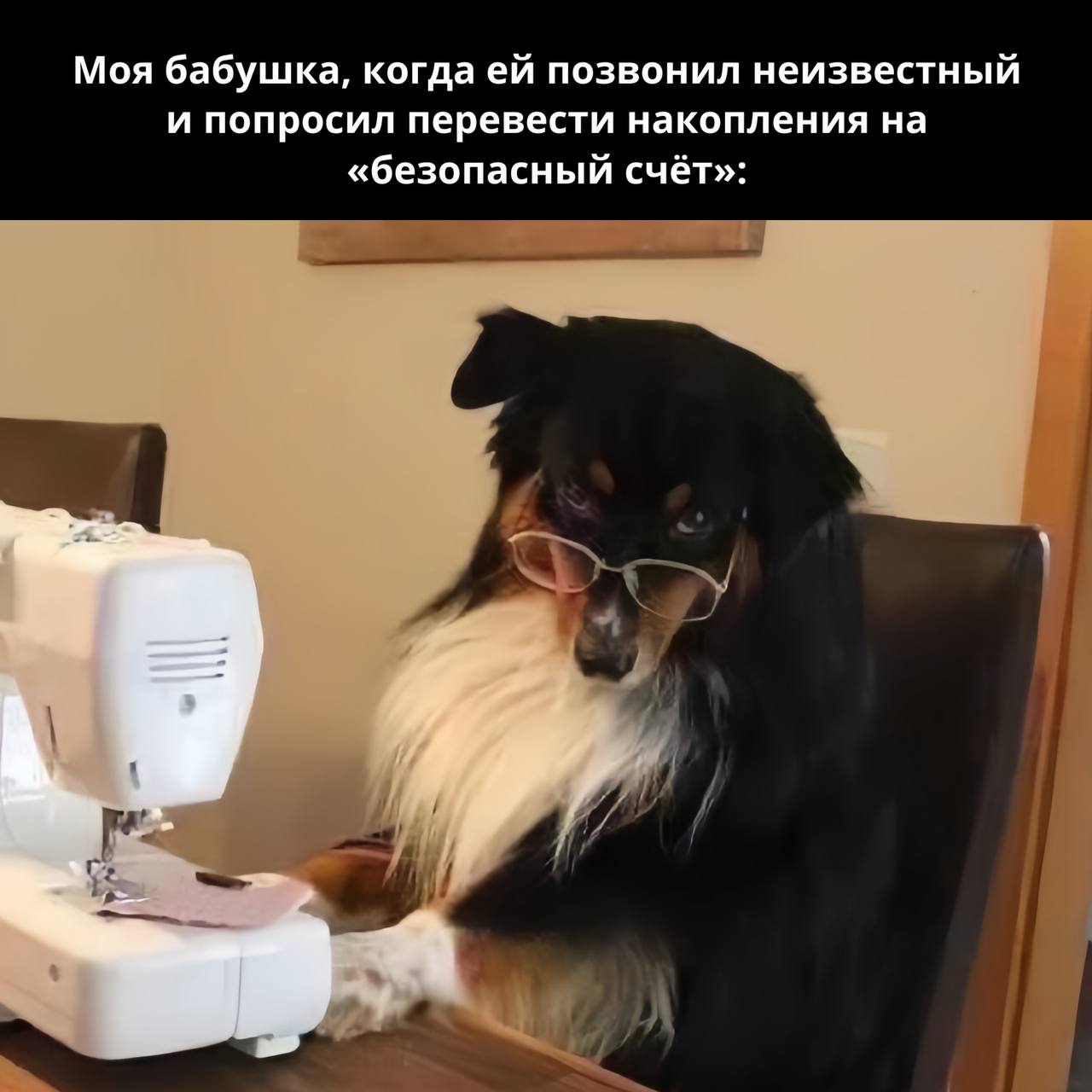 Пятничная доза юмора уже готова! Пятничная доза юмора уже готова!