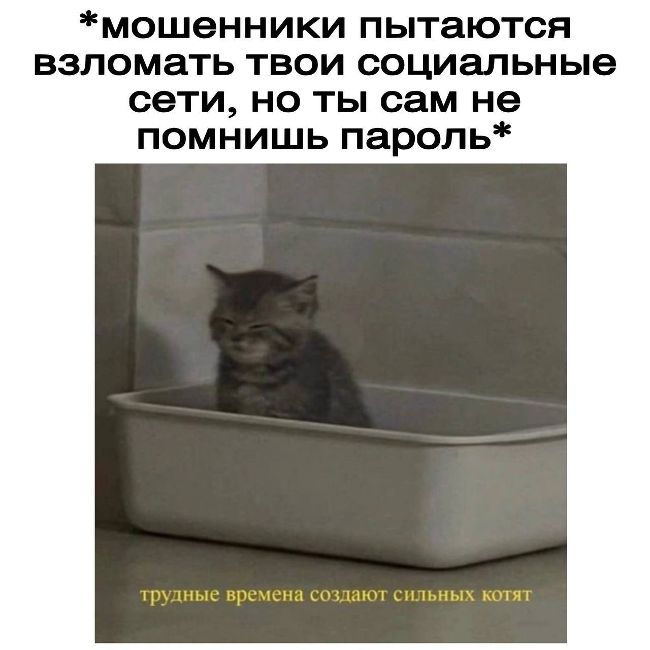 Пятничная доза юмора уже готова! Пятничная доза юмора уже готова!