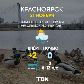 Погода на 21 ноября. ТВК
