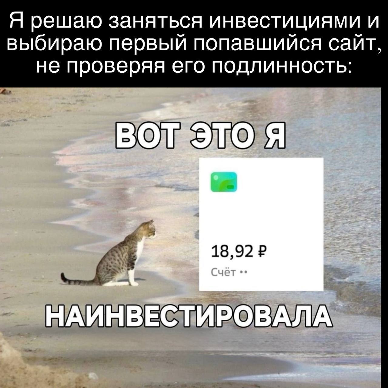 Пятничная доза юмора уже готова! Пятничная доза юмора уже готова!