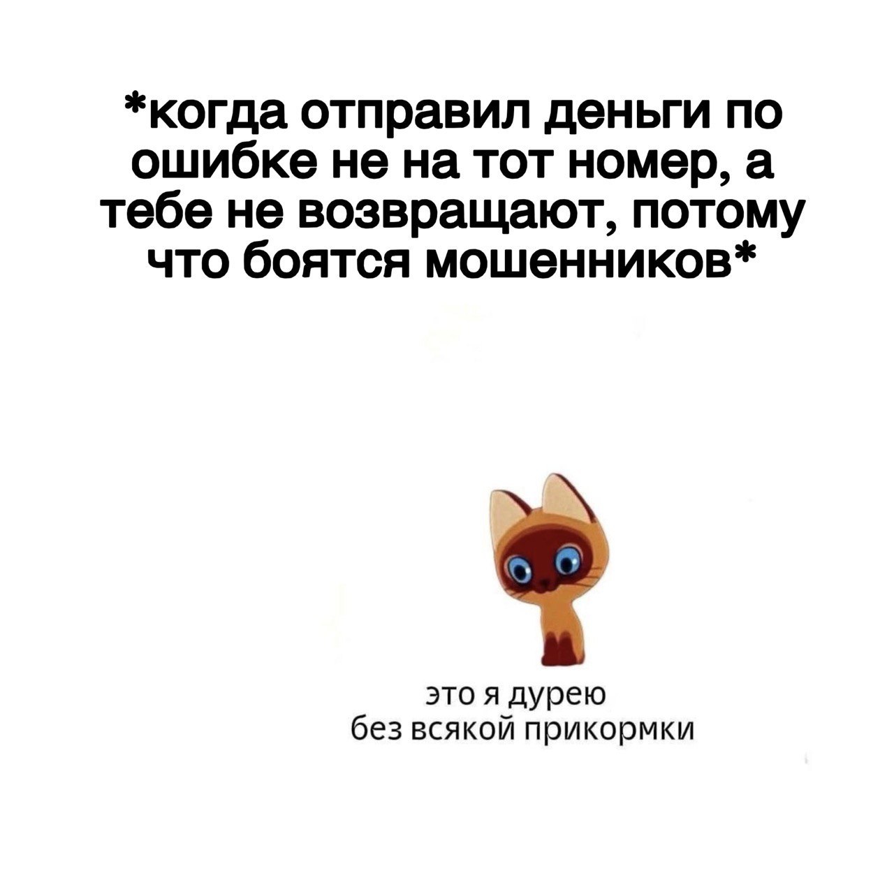 Пятничная доза юмора уже готова! Пятничная доза юмора уже готова!