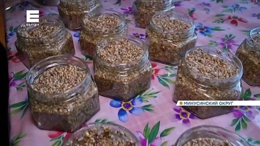 На юге края пчеловоды впервые готовятся к зиме в конце ноября