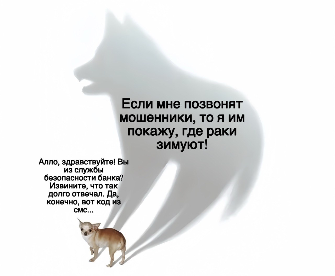 Пятничная доза юмора уже готова! Пятничная доза юмора уже готова!