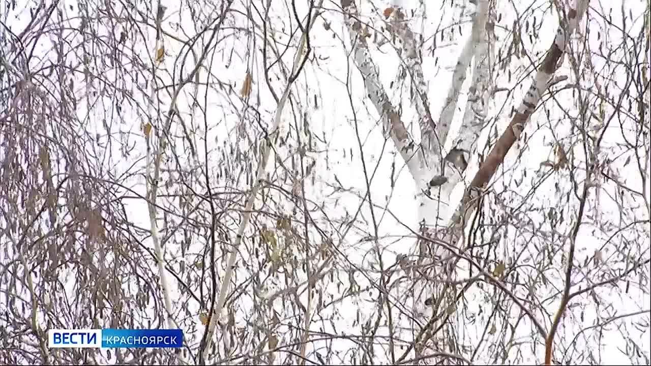 Специалисты рассказали, как пережить температурные качели