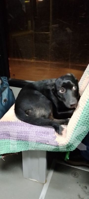   ?.   &quot; &quot;      .  80.   . 89059795137   .  , ,  