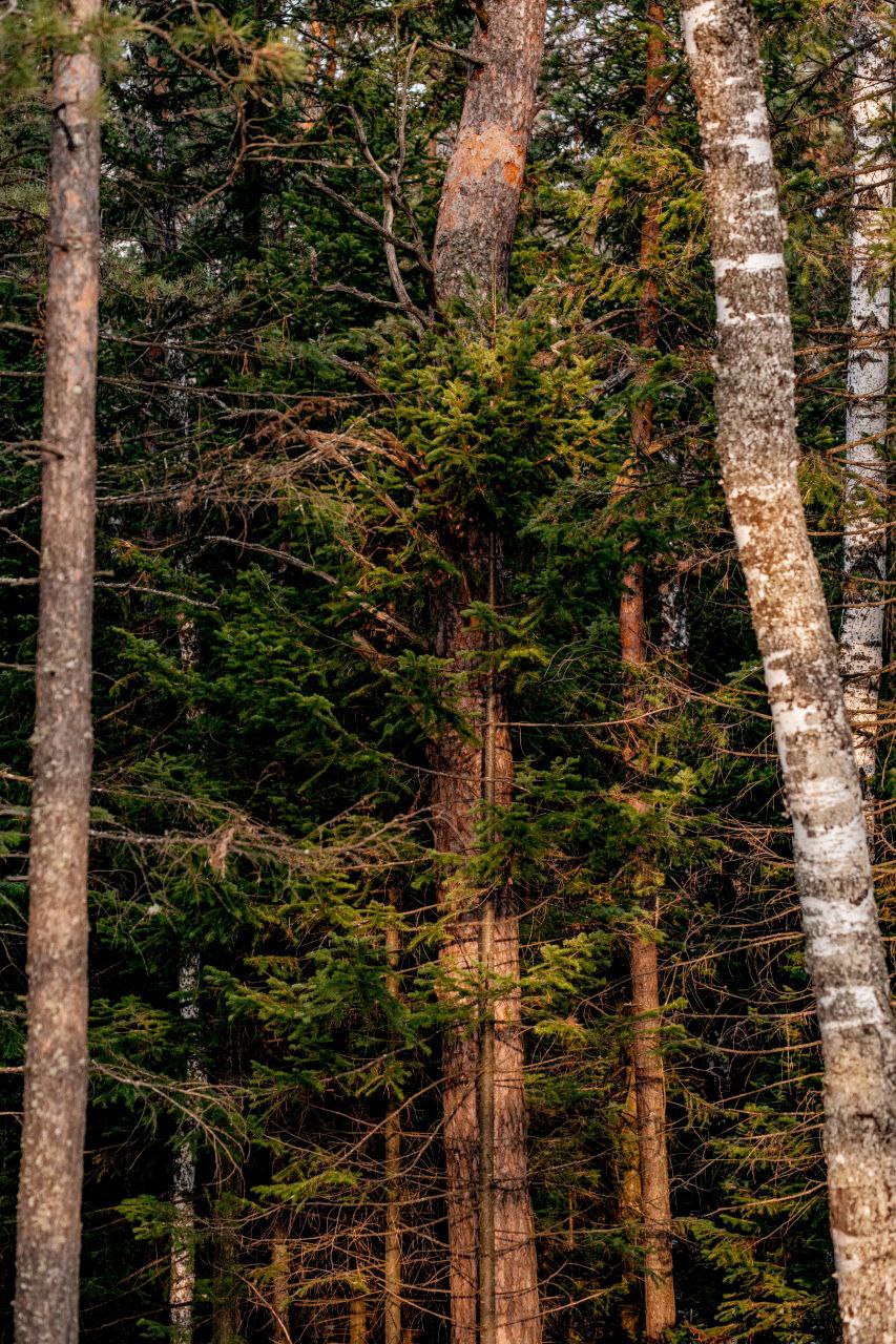 Ледостав на реке Мана. «Всё-таки удалось застать этот момент, застал эту красоту. Шум движущегося льда был такой мощный, что его слышно даже с видовки «Здравствуй, Мана". Завораживающее, залипательное и удивительно спокойное... Ледостав на реке Мана. «Всё-таки удалось застать этот момент, застал эту красоту. Шум движущегося льда был такой мощный, что его слышно даже с видовки «Здравствуй, Мана". Завораживающее, залипательное и удивительно спокойное...