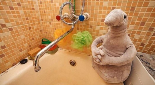 Как правильно разобраться с отключением горячей воды: ваши права и законные нюансы