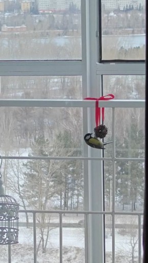 Погода на 23 ноября. ТВК