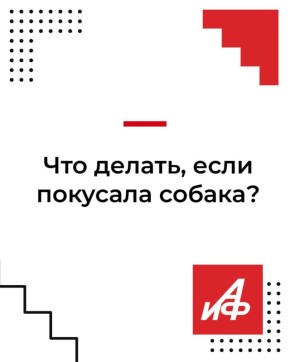 В Красноярском крае участились случаи нападения собак