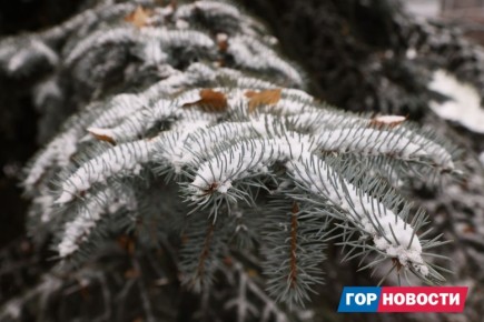 В последнюю неделю ноября красноярцев ждут погодные качели