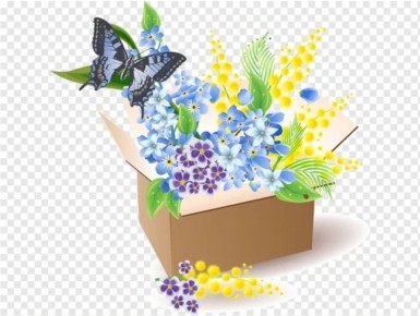 Получили суккуленты в посылке