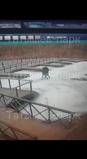 Закономерный провал. На льду озера Тихое Татышев-парка в Красноярске пара провалилась под лед