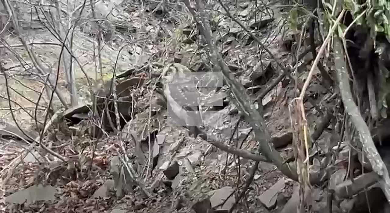 Сова покрасовалась перед туристами на юге края