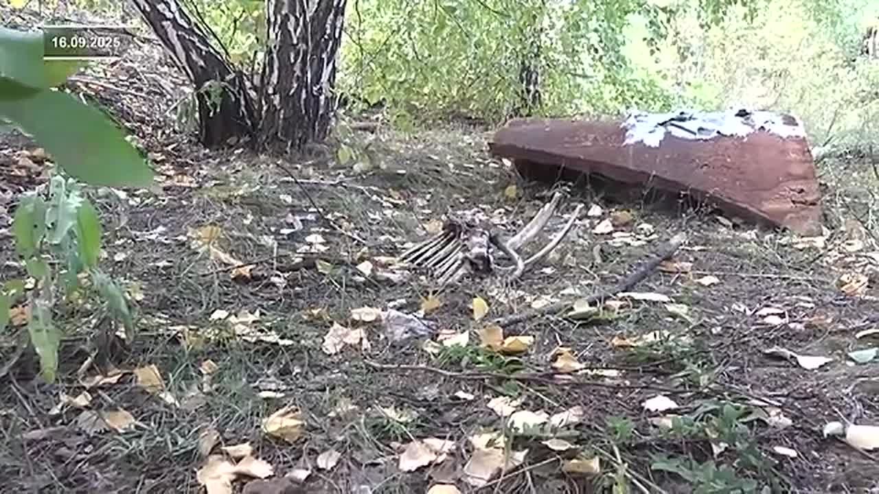 НЕЗАКОННАЯ СВИНОФЕРМА ПЕРЕСТАЛА СУЩЕСТВОВАТЬ ПОСЛЕ ВМЕШАТЕЛЬСТВА ПАРЛАМЕНТАРИЯ