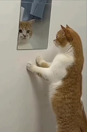 Когда утром спрашиваешь себя, а так ли тебе надо куда-то идти