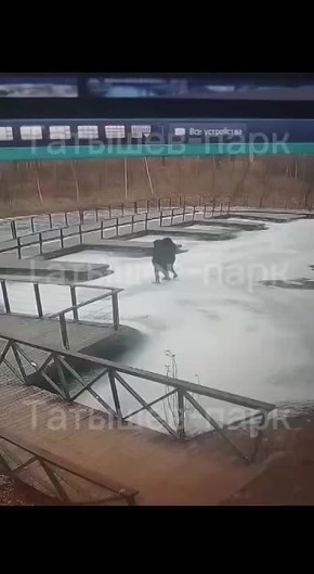 Молодая пара красноярцев провалилась под лёд озера Тихое