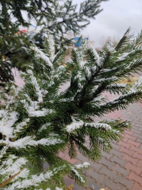 Доброе утро!. #ВестиКрасноярск