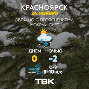 Погода на 24 ноября. ТВК