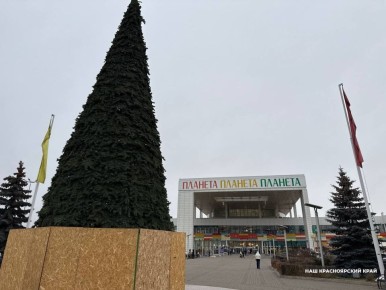 На острове Татышев в Красноярске завершается монтаж каркаса главной городской новогодней елки