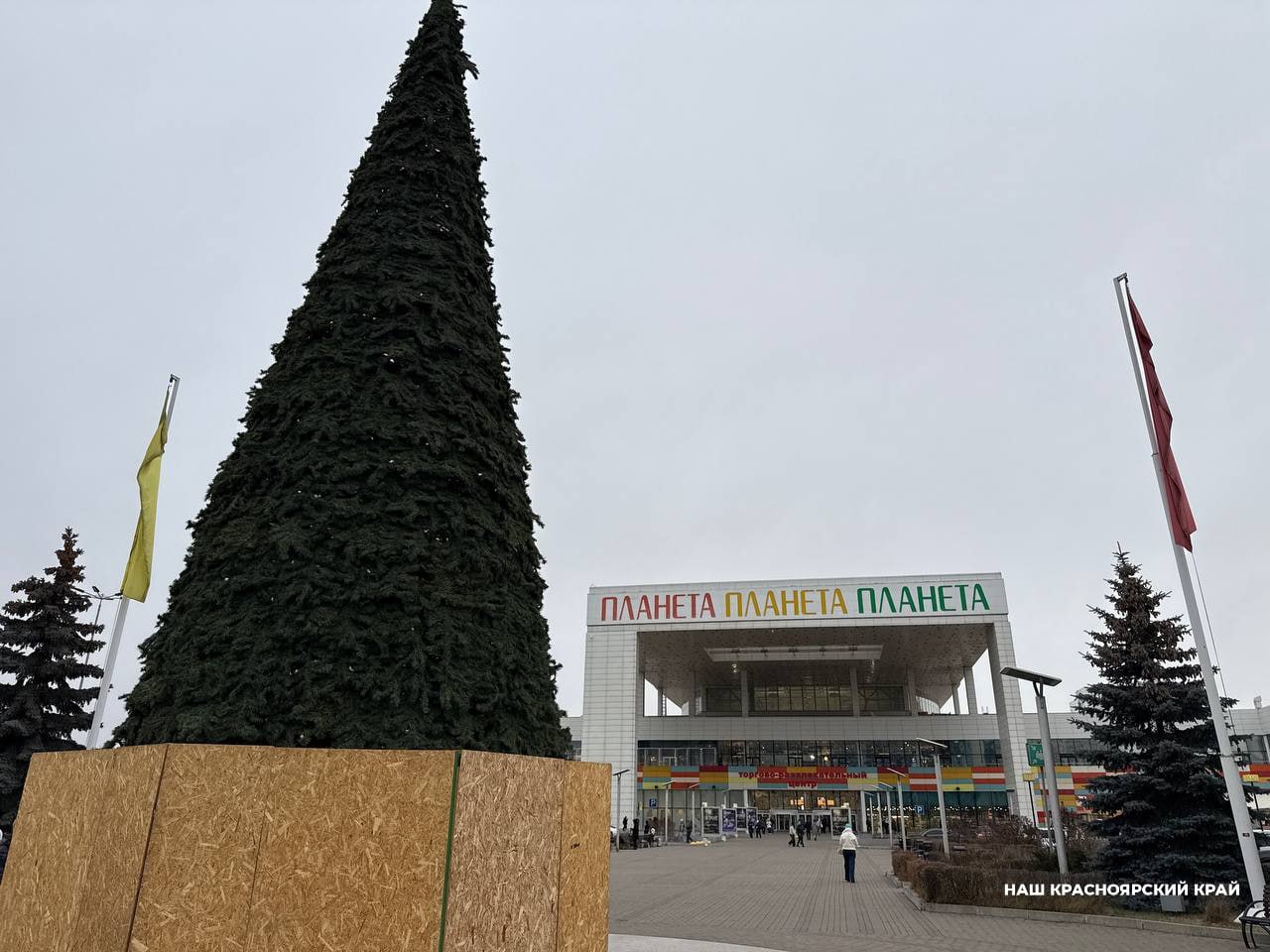 На острове Татышев в Красноярске завершается монтаж каркаса главной городской новогодней елки