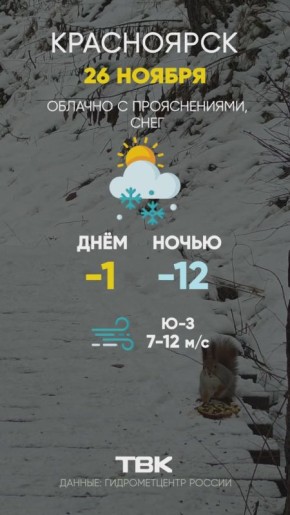 Погода на 26 ноября. ТВК