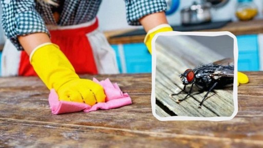 Летний бой с мухами: простые и эффективные методы избавления от назойливых насекомых