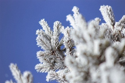 Настоящая зима начинается на этой неделе в Красноярске