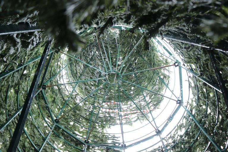 В Красноярске начался монтаж праздничных ёлок В Красноярске начался монтаж праздничных ёлок