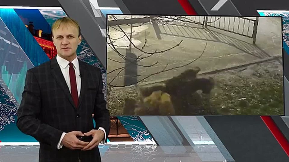 МИХАИЛ КОТЮКОВ: РЕШЕНИЕ ВОПРОСА С БЕЗНАДЗОРНЫМИ ЖИВОТНЫМИ В КРАЕ ОЖИДАЕТСЯ СО СЛЕДУЮЩЕГО ГОДА