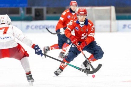 Внимание, хоккейные болельщики!